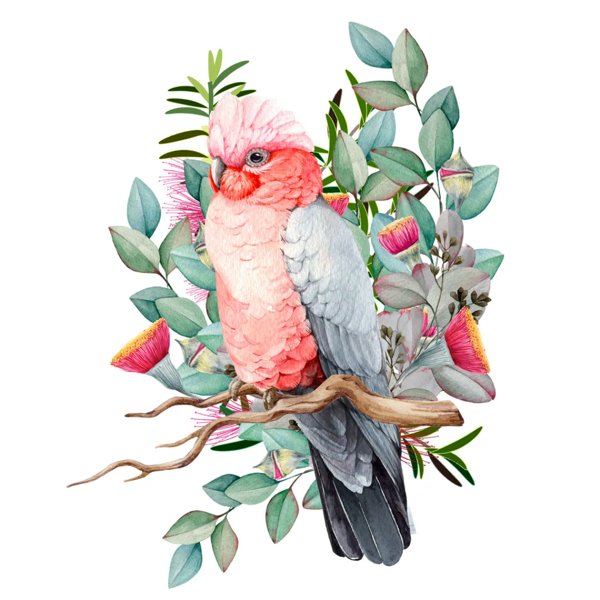 Australian Geographic Puzzles|Arts & Crafts-128 Piece Wooden Jigsaw Puzzle, Galah