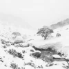 Australian Geographic Photography Prints-Australian Blizzard' by Charles Davis