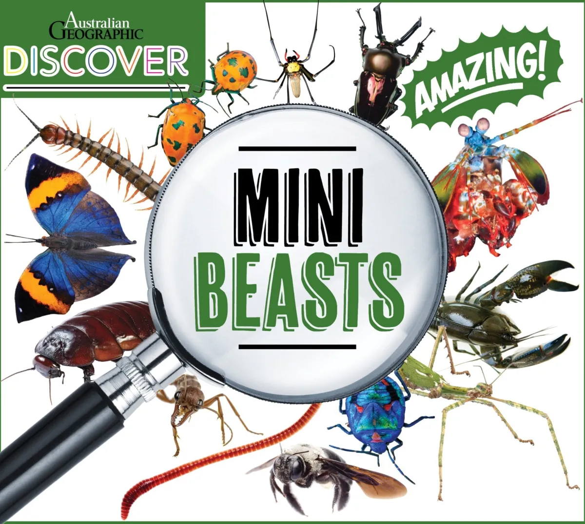 Kids Australian Geographic Animals & Nature|Age 8+-Discover: Minibeasts