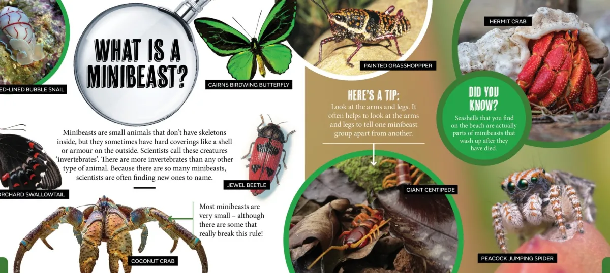Kids Australian Geographic Animals & Nature|Age 8+-Discover: Minibeasts
