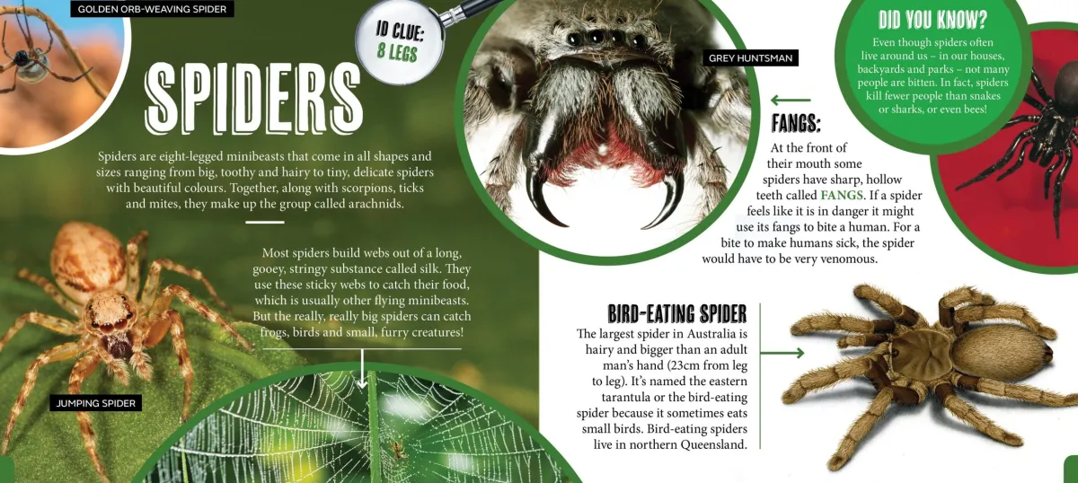Kids Australian Geographic Animals & Nature|Age 8+-Discover: Minibeasts