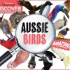Kids Australian Geographic Animals & Nature|Age 8+-Discover: Aussie Birds
