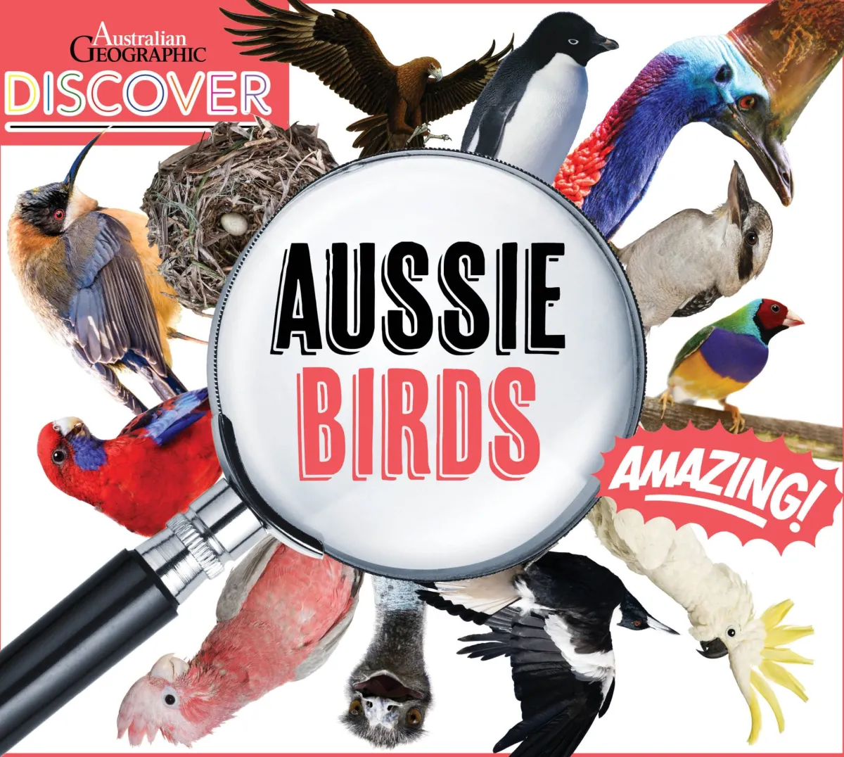 Kids Australian Geographic Animals & Nature|Age 8+-Discover: Aussie Birds