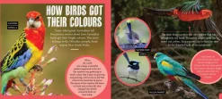 Kids Australian Geographic Animals & Nature|Age 8+-Discover: Aussie Birds