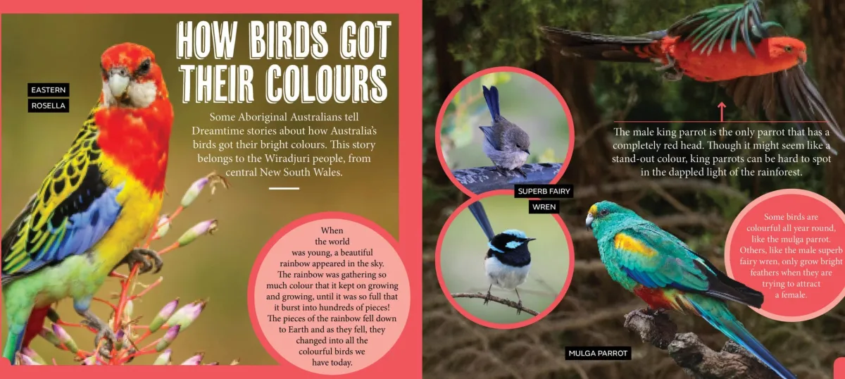 Kids Australian Geographic Animals & Nature|Age 8+-Discover: Aussie Birds