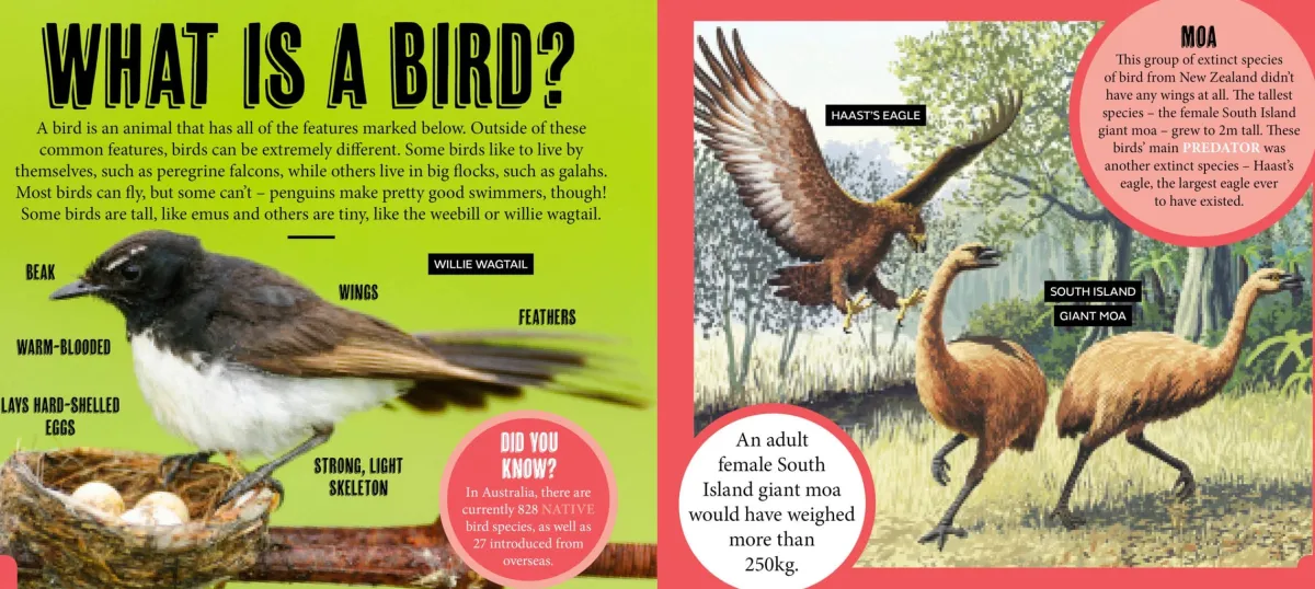 Kids Australian Geographic Animals & Nature|Age 8+-Discover: Aussie Birds