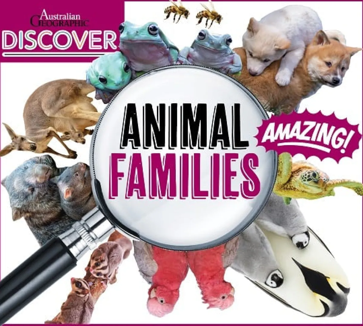 Kids Australian Geographic Science|Animals & Nature-Discover: Animal Families