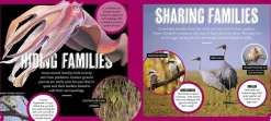 Kids Australian Geographic Science|Animals & Nature-Discover: Animal Families