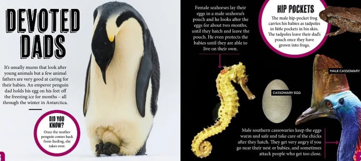 Kids Australian Geographic Science|Animals & Nature-Discover: Animal Families