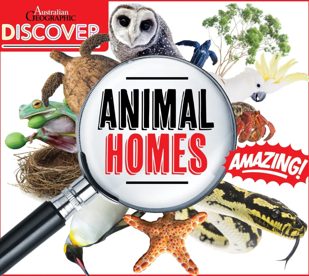 Kids Australian Geographic Science|Animals & Nature-Discover: Animals Homes