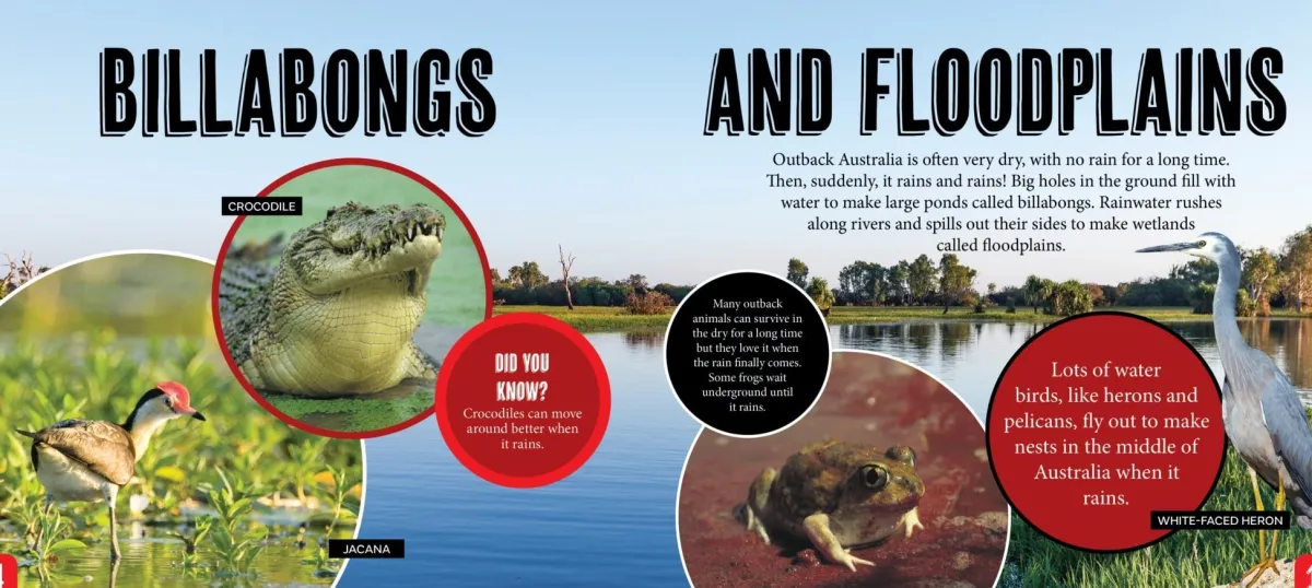 Kids Australian Geographic Science|Animals & Nature-Discover: Animals Homes
