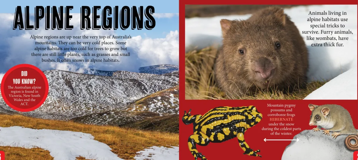 Kids Australian Geographic Science|Animals & Nature-Discover: Animals Homes