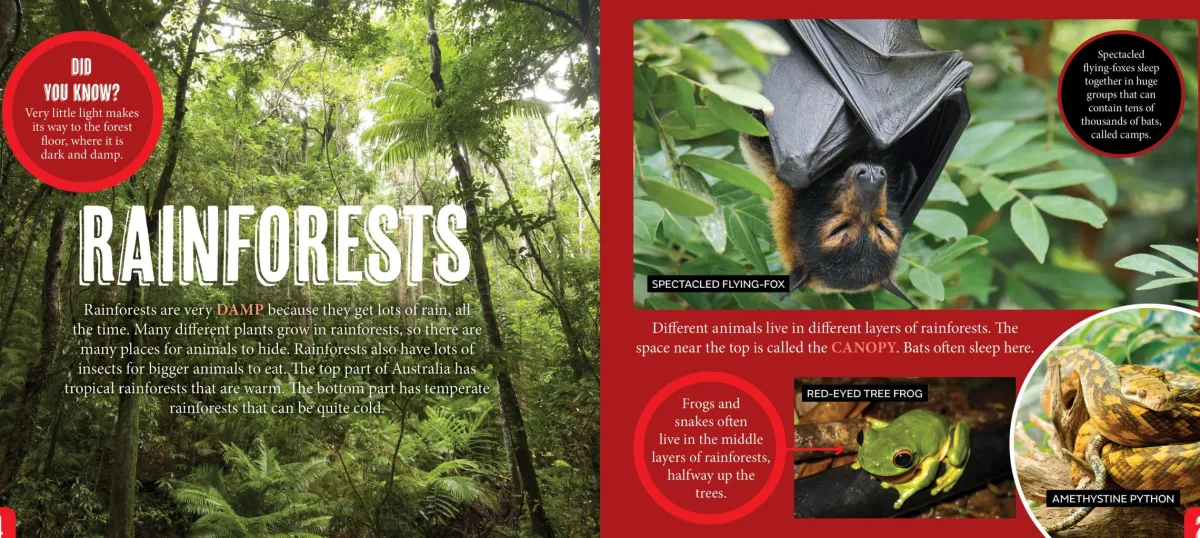 Kids Australian Geographic Science|Animals & Nature-Discover: Animals Homes