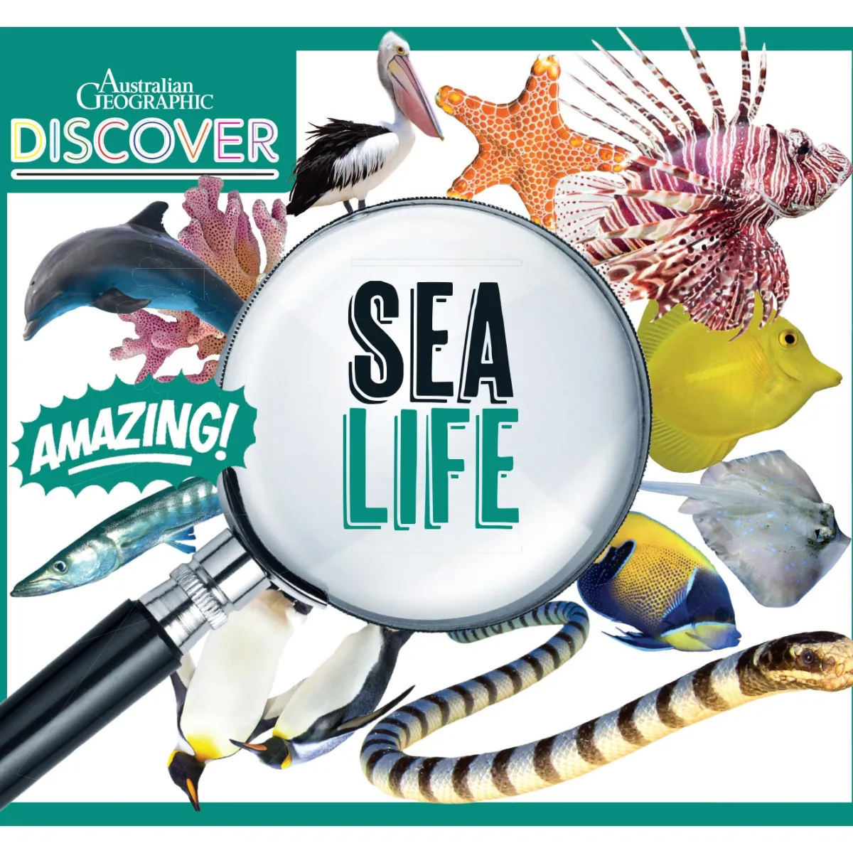 Kids Australian Geographic Science|Animals & Nature-Discover: Sea Life