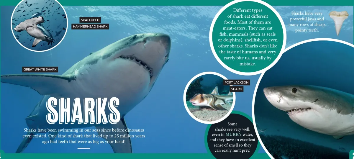 Kids Australian Geographic Science|Animals & Nature-Discover: Sea Life