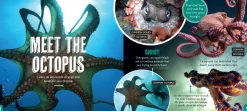 Kids Australian Geographic Science|Animals & Nature-Discover: Sea Life