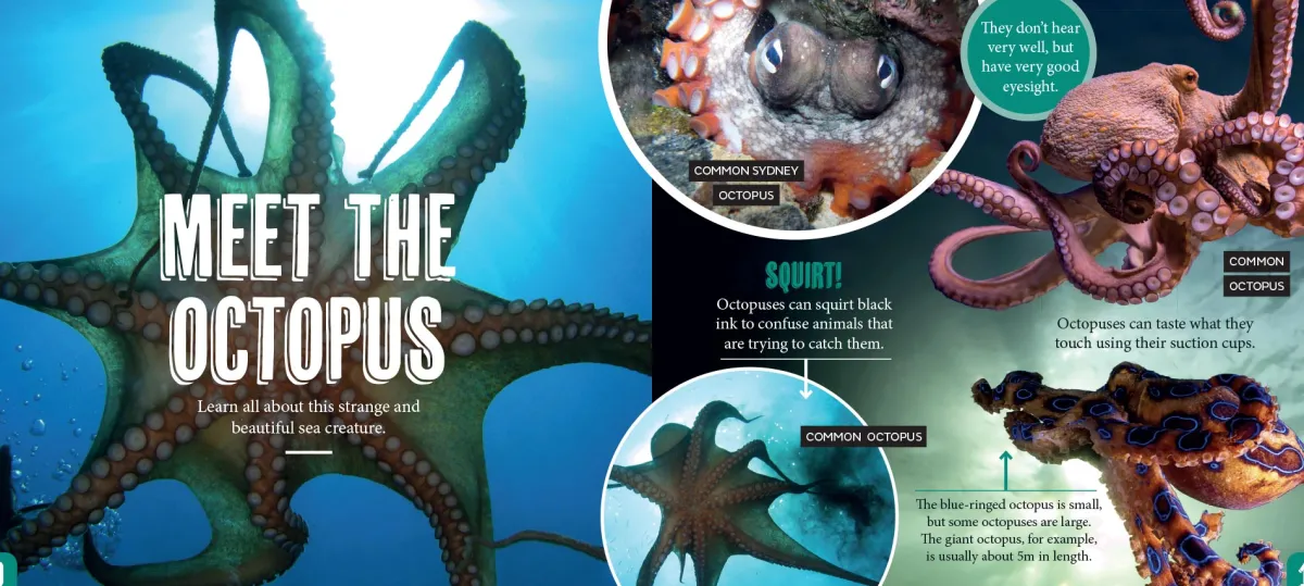 Kids Australian Geographic Science|Animals & Nature-Discover: Sea Life