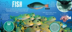 Kids Australian Geographic Science|Animals & Nature-Discover: Sea Life