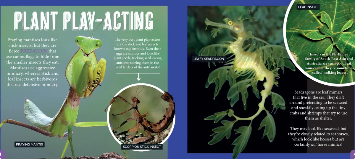 Kids Australian Geographic Animals & Nature|Age 8+-Discover: Animal Mimics