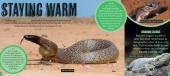 Kids Australian Geographic Science|Animals & Nature-Discover: Aussie Reptiles