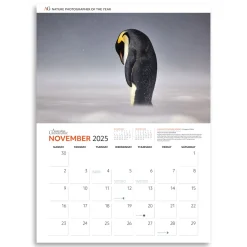 Australian Geographic Calendars & Diaries|Calendars & Diaries-Nature Photographer of the Year Calendar 2025