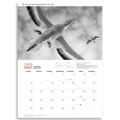 Australian Geographic Calendars & Diaries|Calendars & Diaries-Nature Photographer of the Year Calendar 2025