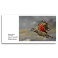 Australian Geographic Photographic & Illustrated-Nature Photographer of the Year Book 2024