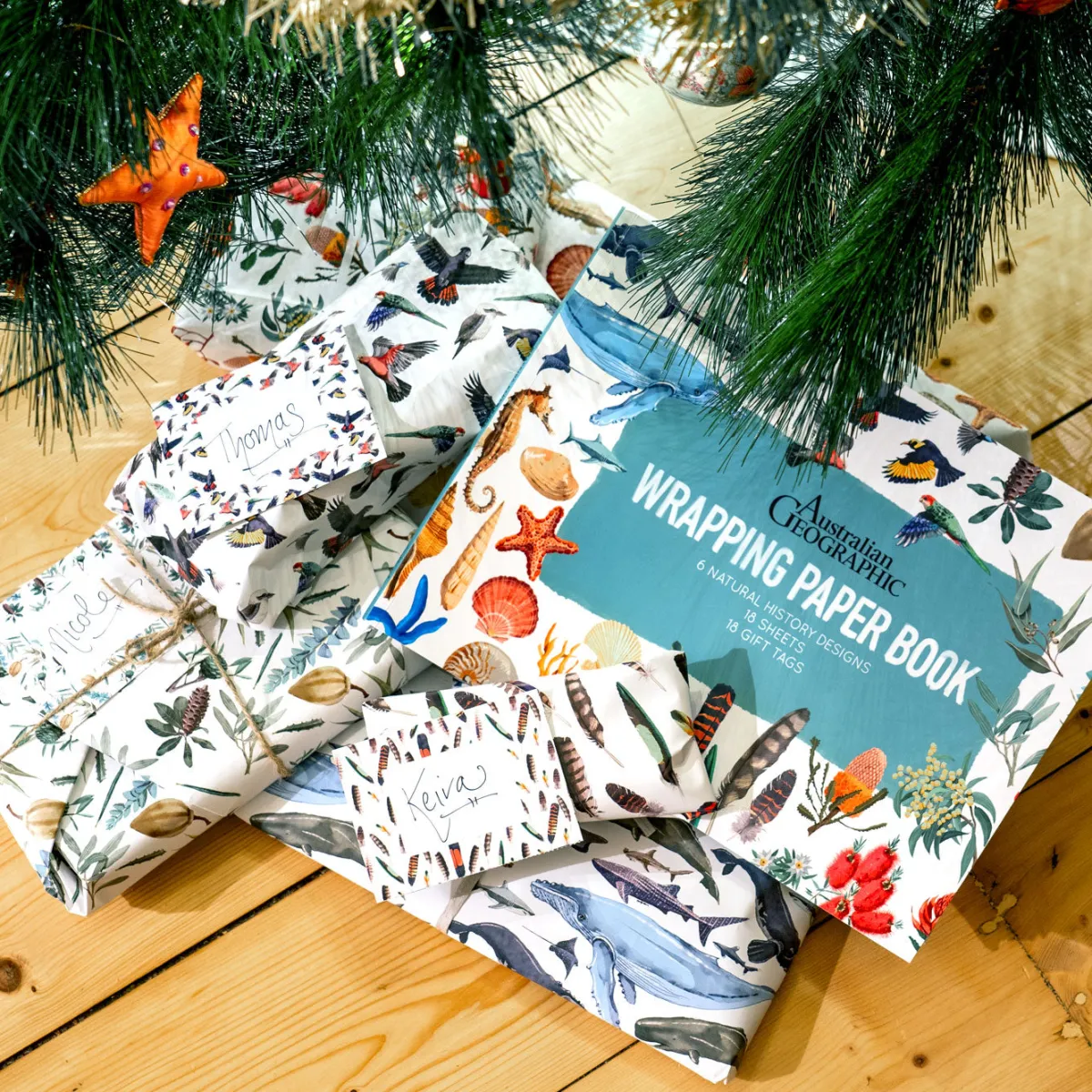 Australian Geographic Accessories|Greeting Cards-Wrapping Paper Book