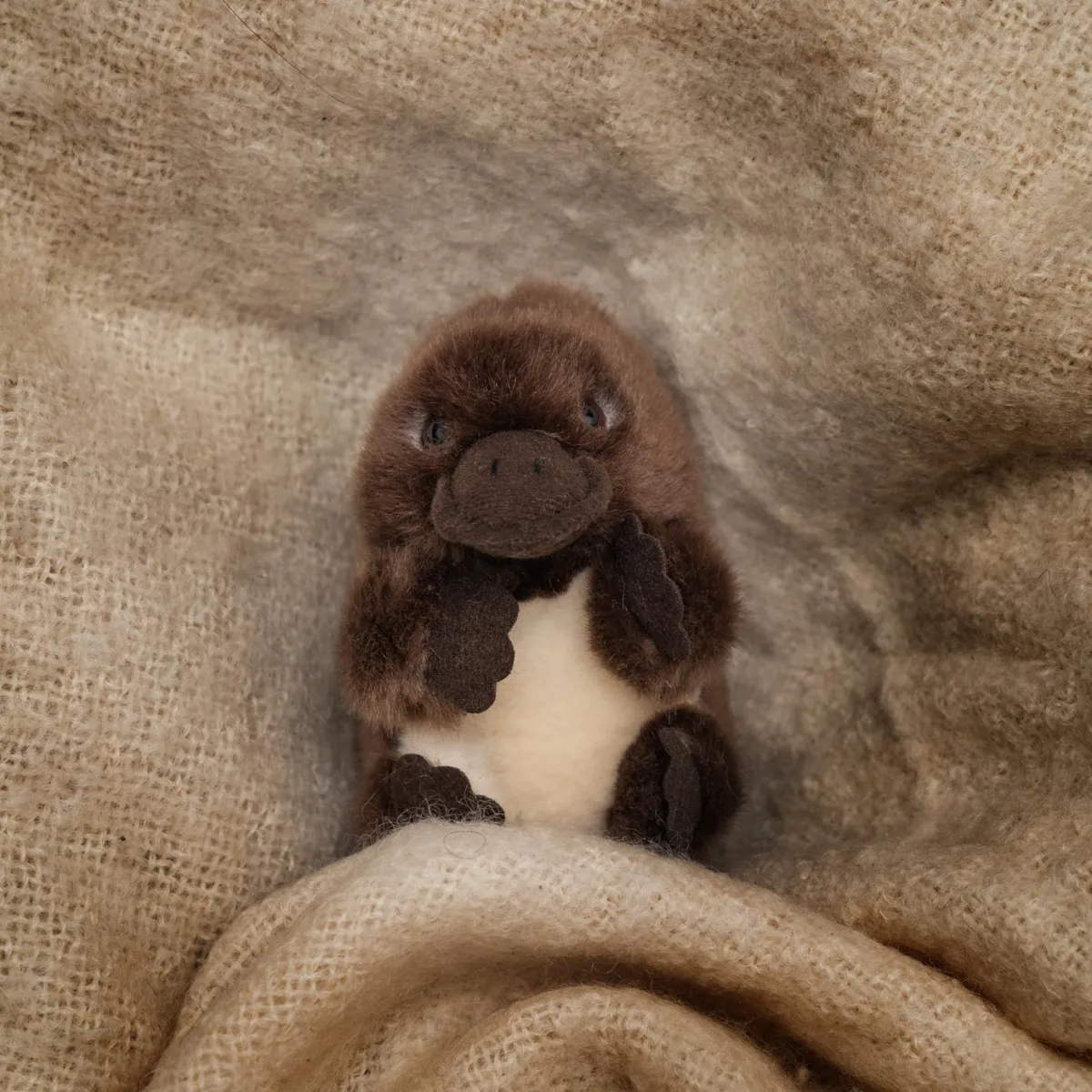 Australian Geographic Plush & Soft Toys|0-24 Months-Baby Handfuls Platypus Soft Toy