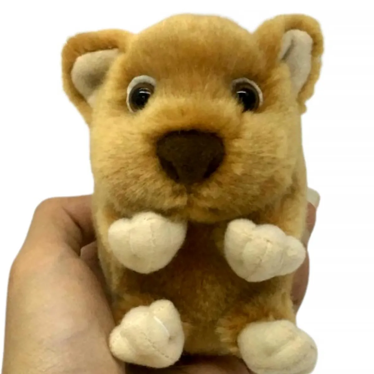 Australian Geographic Plush & Soft Toys|0-24 Months-Baby Handfuls Wombat Soft Toy