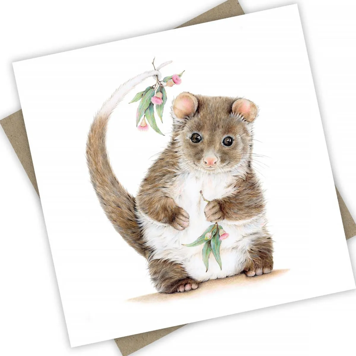 Australian Geographic Accessories|Greeting Cards-Banjo the Ringtail Possum Greeting Card from PopcornBlue