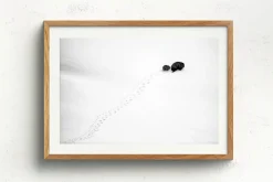 Australian Geographic Photography Prints-Big Step, Little Step' by Charles Davis