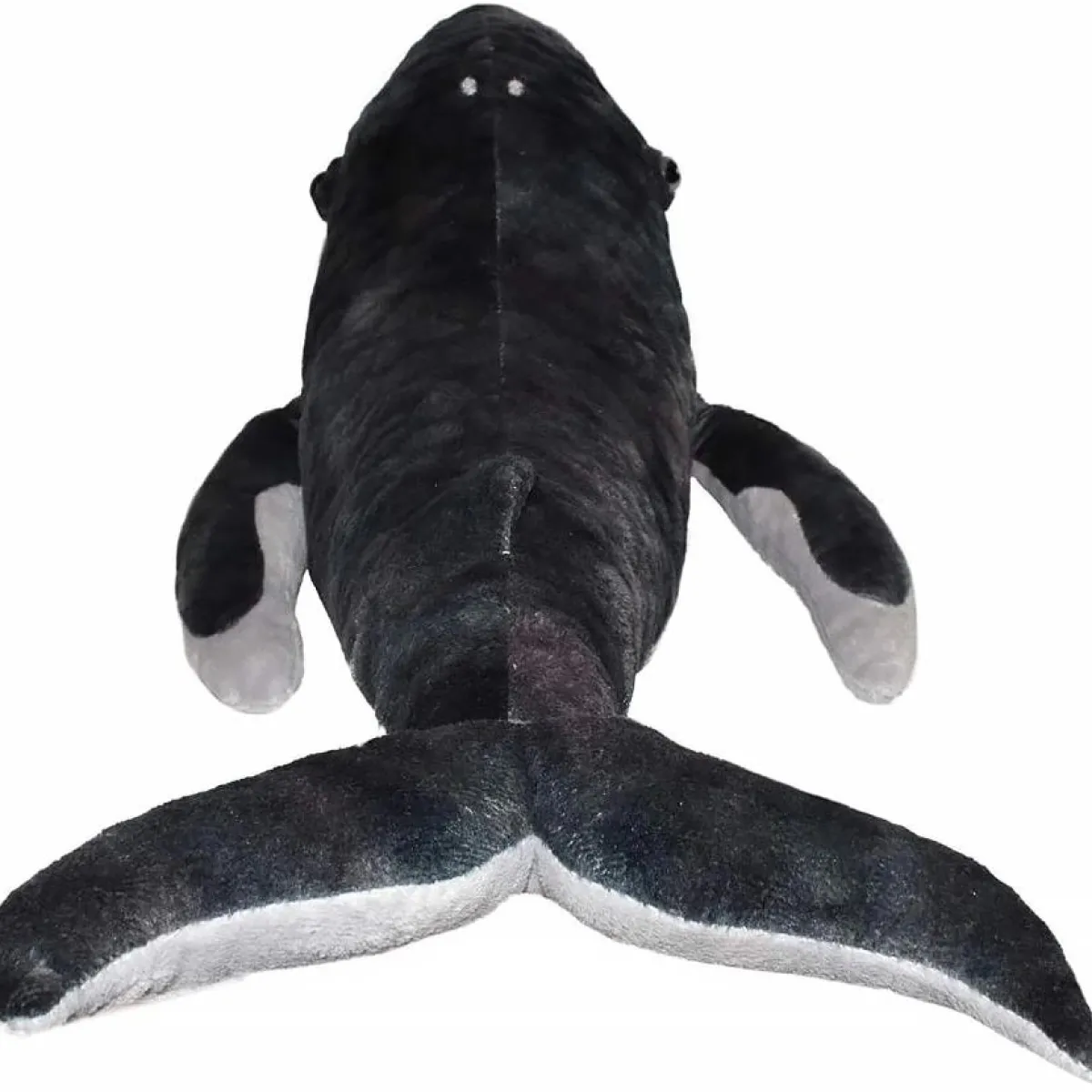 Australian Geographic Plush & Soft Toys|0-24 Months-Cuddlekins humpback whale