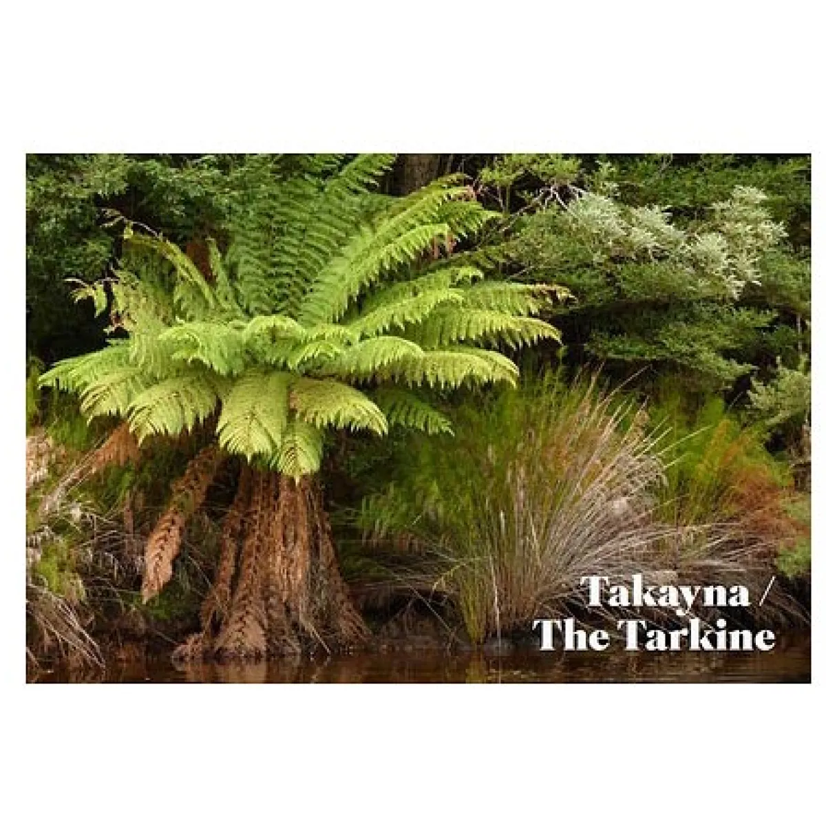 Australian Geographic Travel|Photographic & Illustrated-Discovering Natural Tasmania