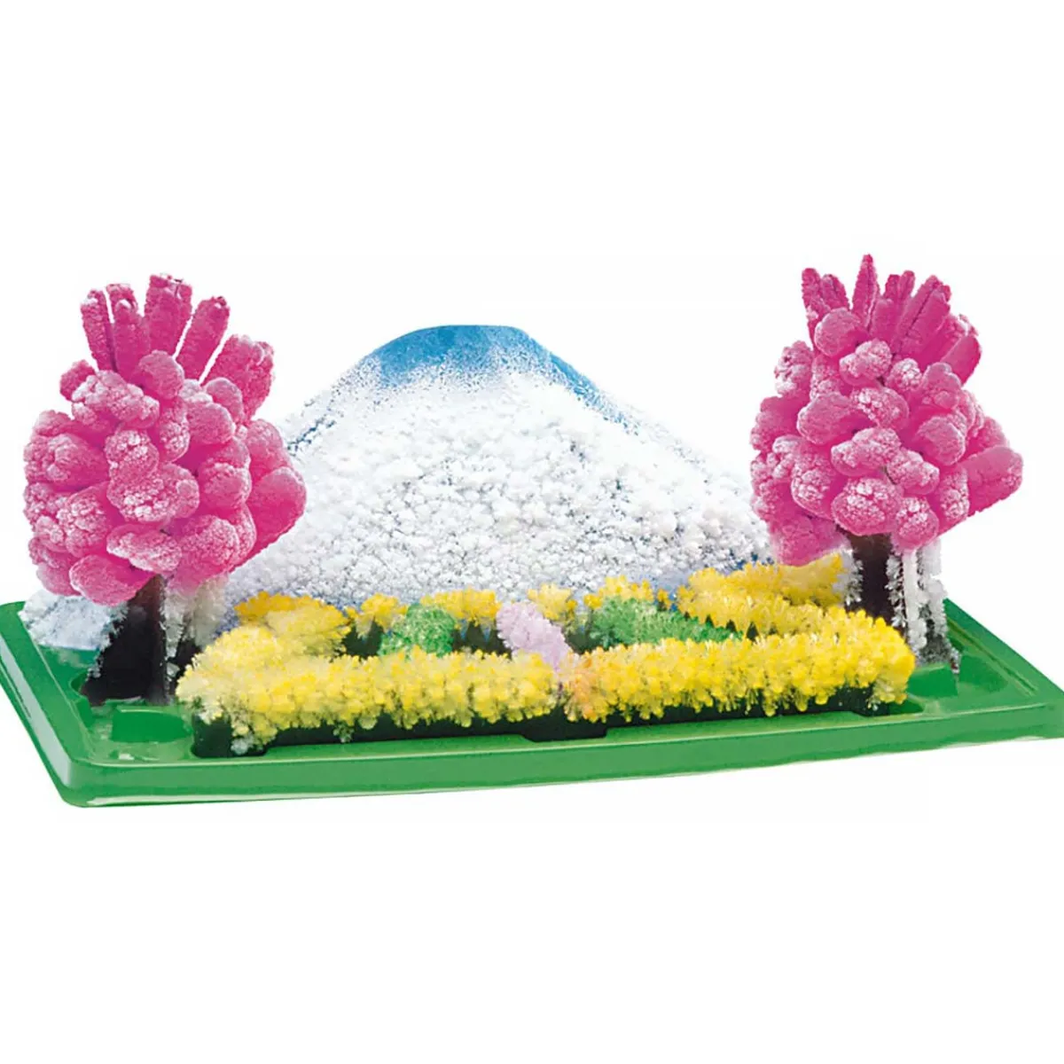 Australian Geographic 8+ Years|Science-Discovery Zone Magic Garden