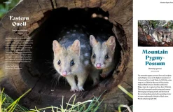 Australian Geographic Animals & Nature-Extraordinary & Endangered