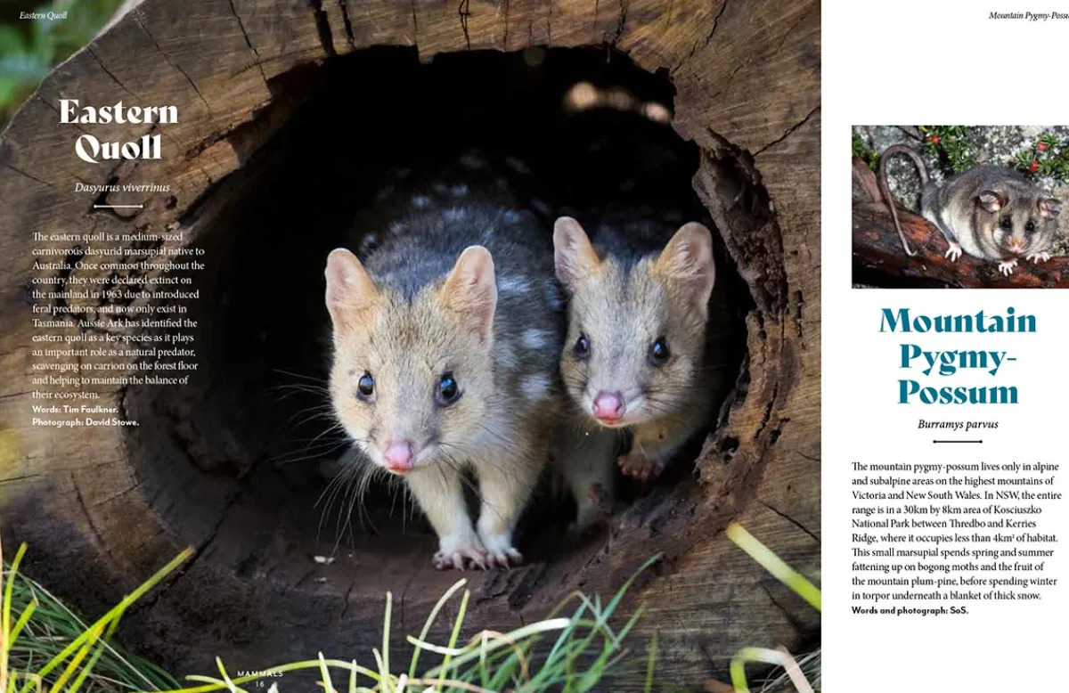 Australian Geographic Animals & Nature-Extraordinary & Endangered