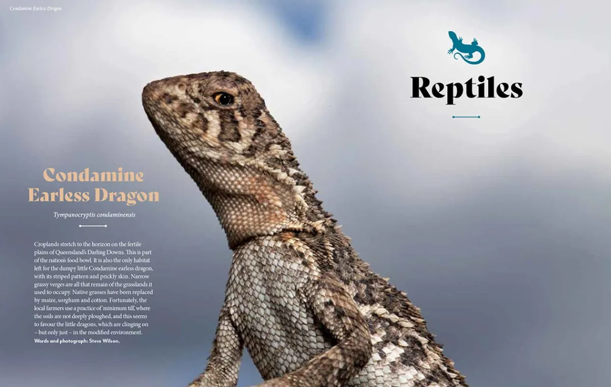 Australian Geographic Animals & Nature-Extraordinary & Endangered