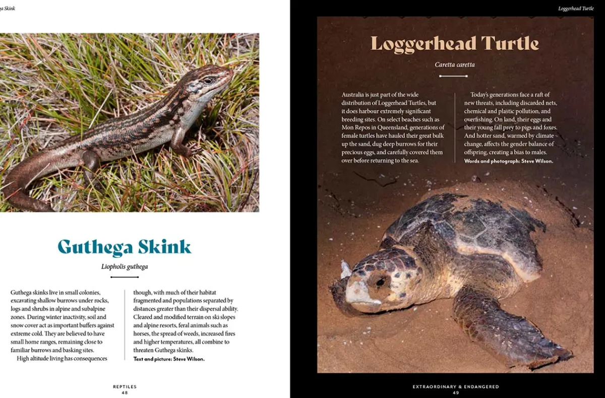Australian Geographic Animals & Nature-Extraordinary & Endangered