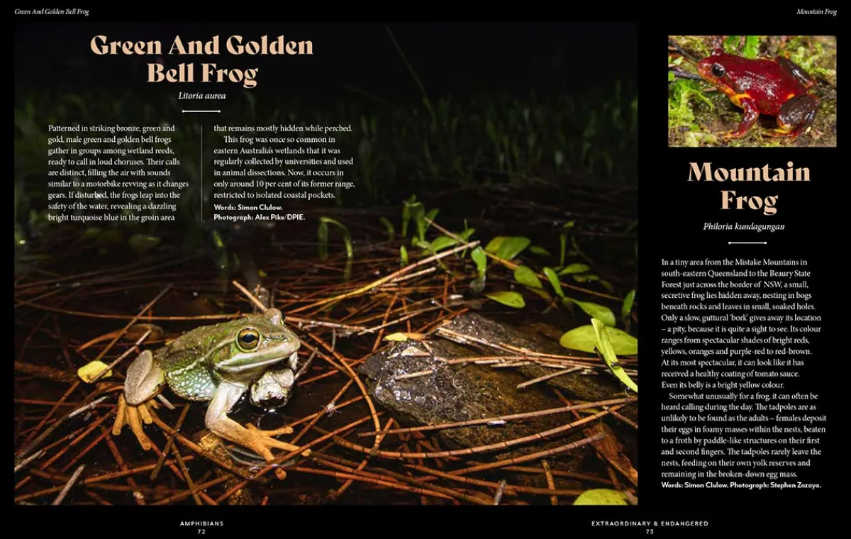 Australian Geographic Animals & Nature-Extraordinary & Endangered