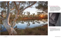 Australian Geographic Society & Culture-For the Love of Flora