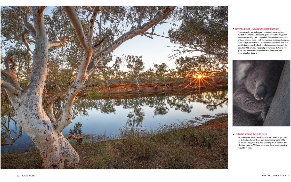 Australian Geographic Society & Culture-For the Love of Flora