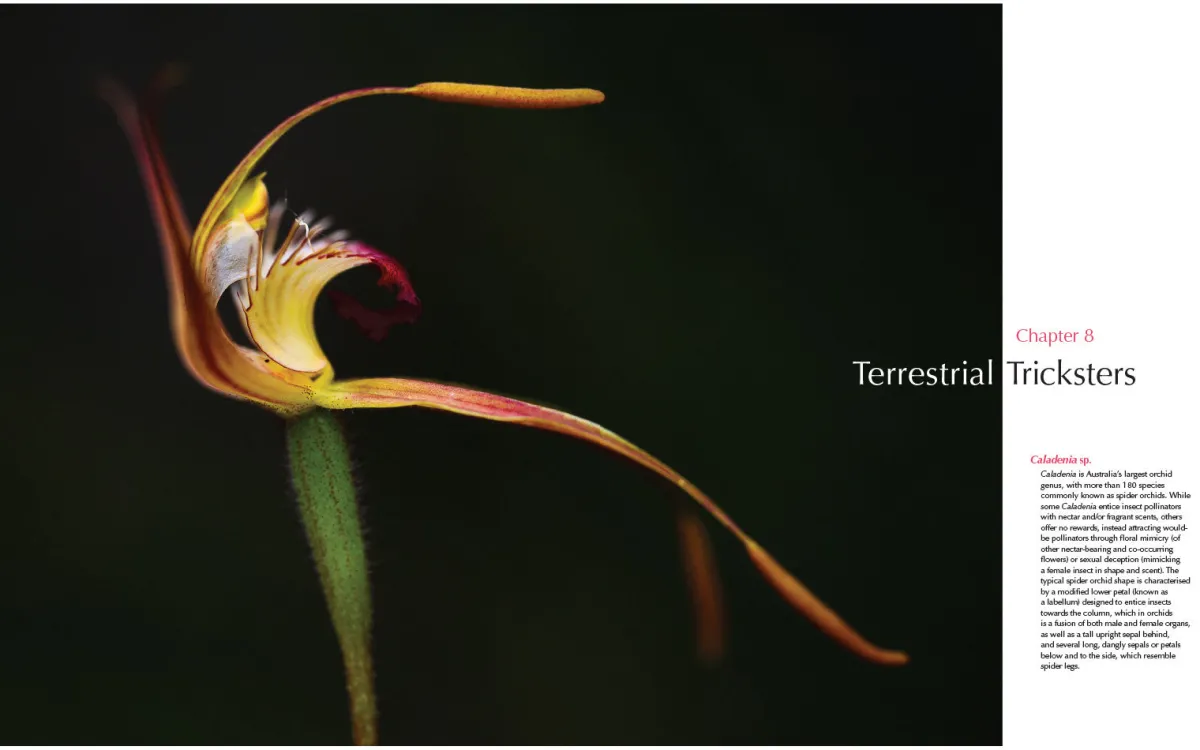 Australian Geographic Society & Culture-For the Love of Flora