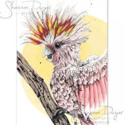 Australian Geographic Accessories|Greeting Cards-Frankie - Pink Cockatoo Greeting Card by Shannon Dwyer