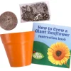 Australian Geographic Garden|5-7 Years-Giant Sunflower