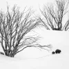 Australian Geographic Photography Prints-Journey to Phil's' by Charles Davis