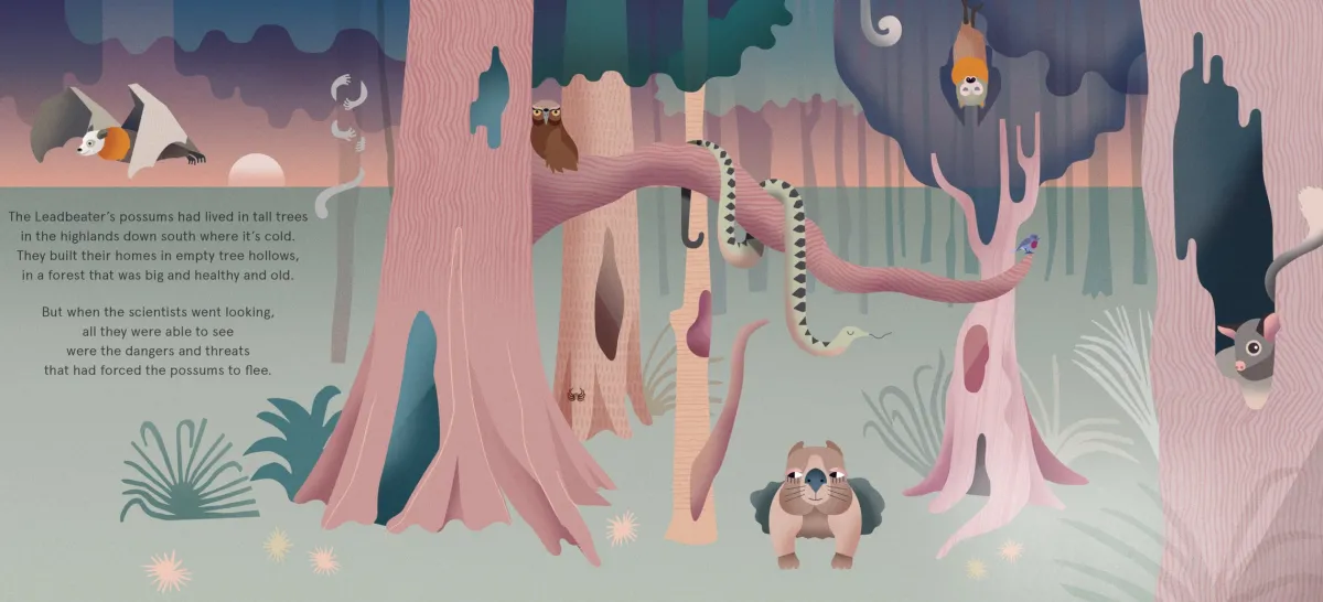Kids Australian Geographic Animals & Nature|Age 0-8-Lost Leadbeater's Possum