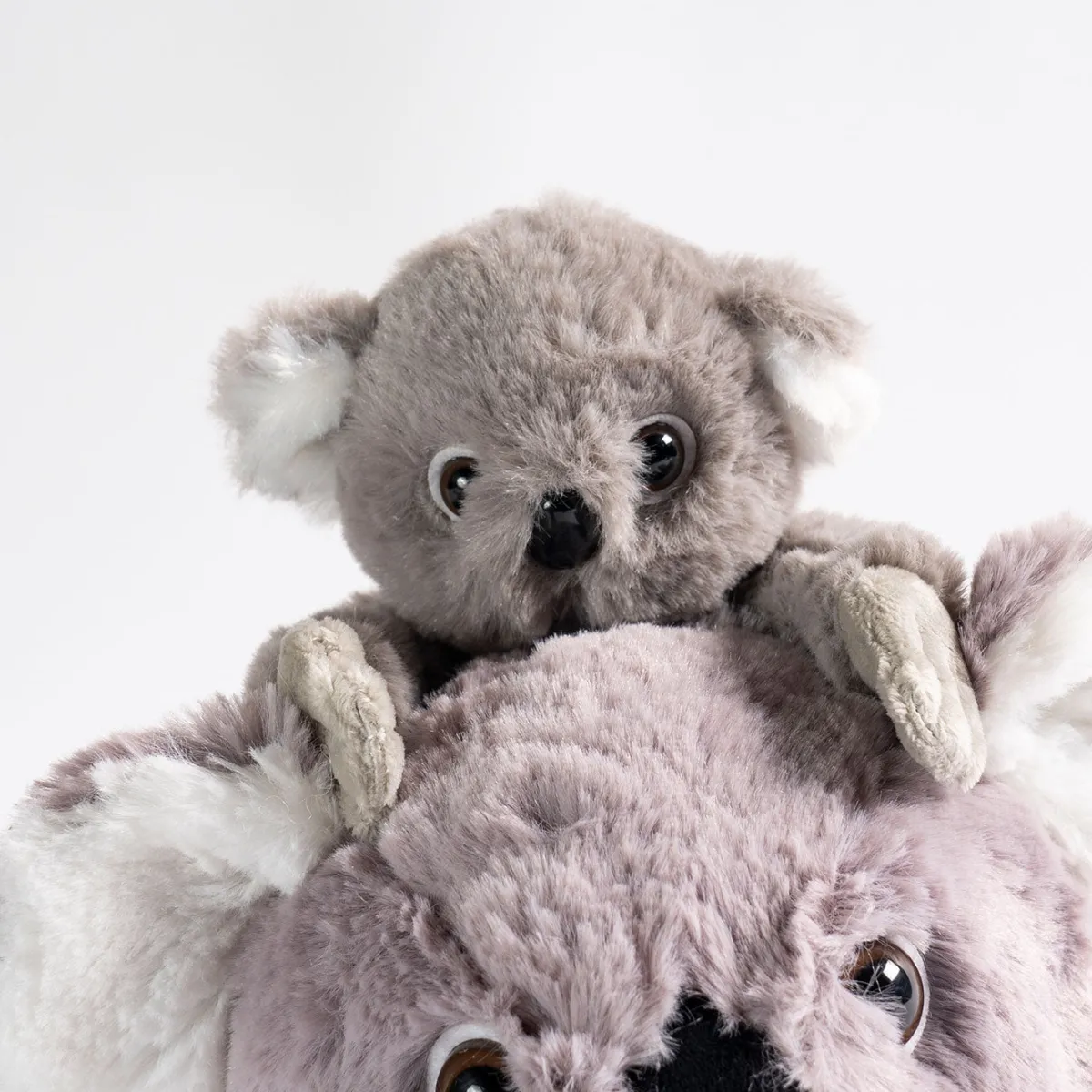 Australian Geographic Plush & Soft Toys|Plush & Soft Toys-Mum and Baby Koala Soft Toy