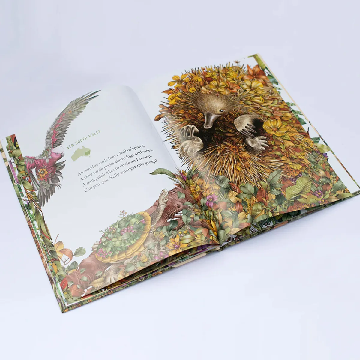 Kids Australian Geographic Activity Books|Animals & Nature-Nelly the Numbat – Search & Find Book