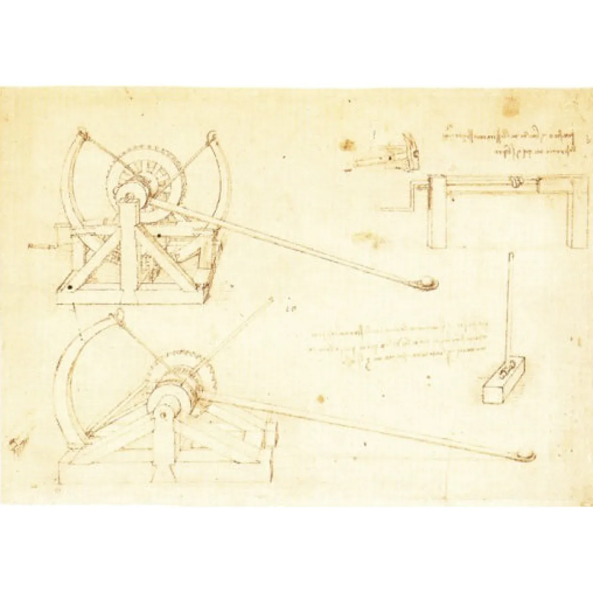 Australian Geographic 8+ Years|Educational-Pathfinders: Da Vinci Catapult Wooden Kit